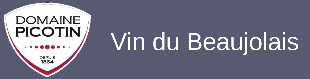 Les vignes du Domaine PICOTIN